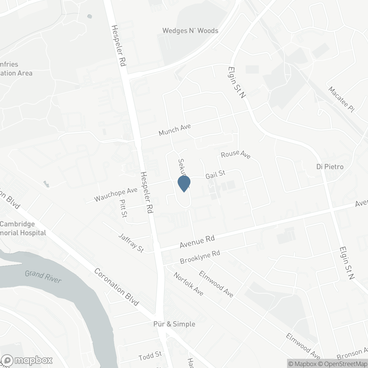 136 SEKURA Crescent, Cambridge, Ontario N1R 7E9